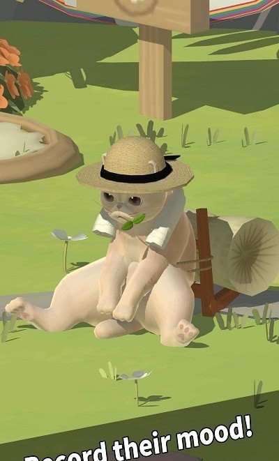 喵星人度假村无限金币钻石版 喵星人度假村无限金币钻石版