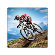 自行车特技Bicycle Stunts