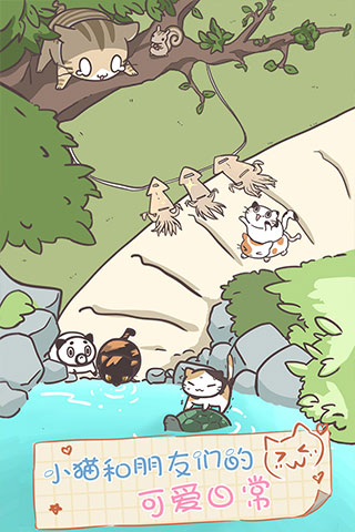 猫咪饲养日常 猫咪饲养日常