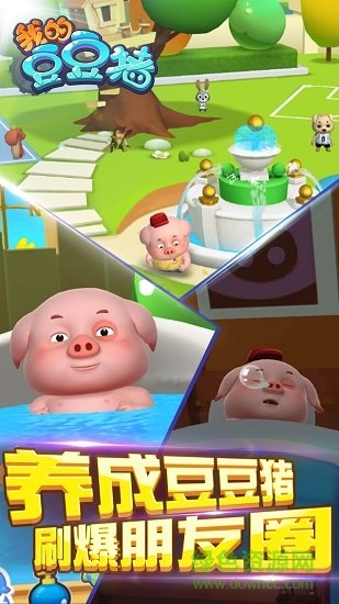 我的豆豆猪 我的豆豆猪