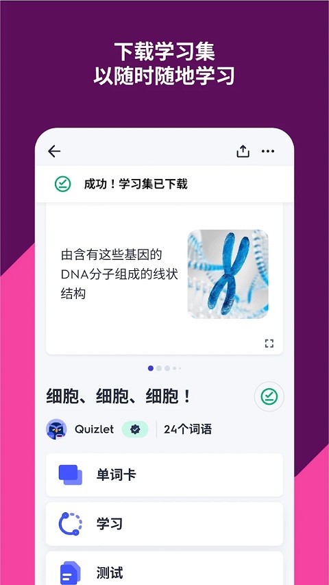 Quizlet安卓版2025最新版