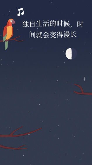 Bird Alone(孤独的鹦鹉)