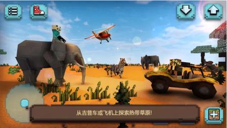 Square Safari Craft
