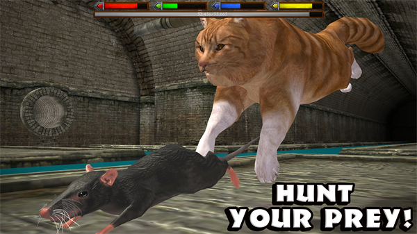 RTK_UltCatSim