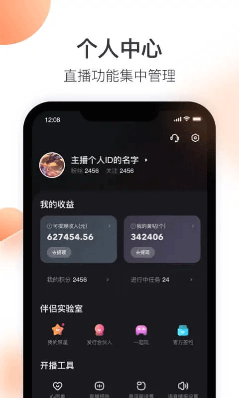 快手直播伴侣
