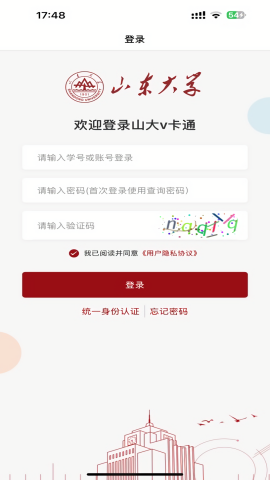 山大v卡通