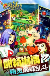 新口袋妖怪 新口袋妖怪