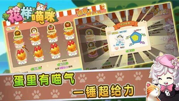 花样喵咪