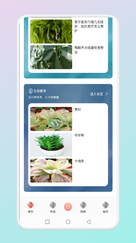 拍照识花