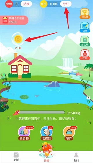 锦鲤星球