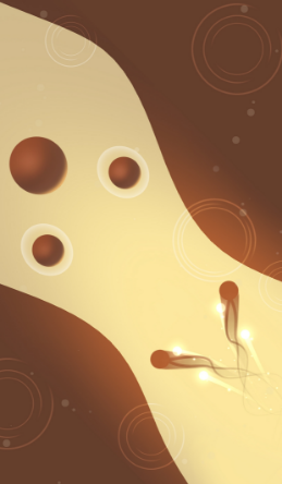 镜之双子 镜之双子