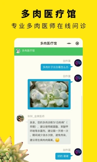 多肉圈 多肉圈