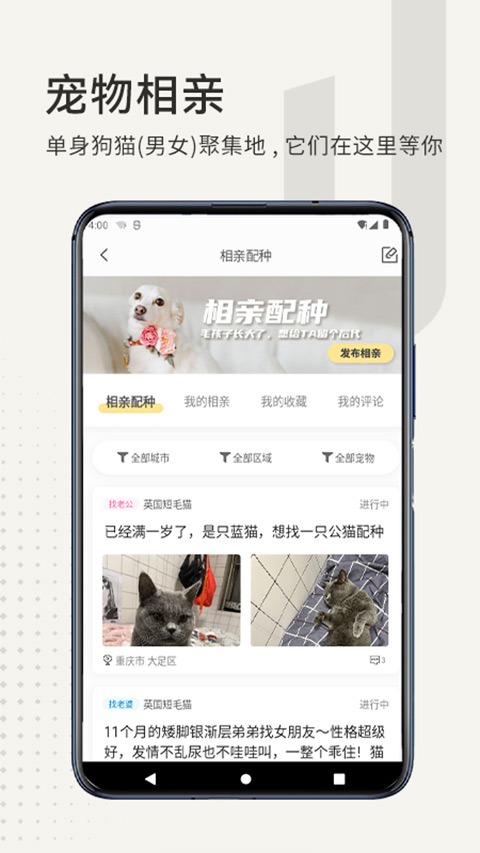 小臭美 小臭美