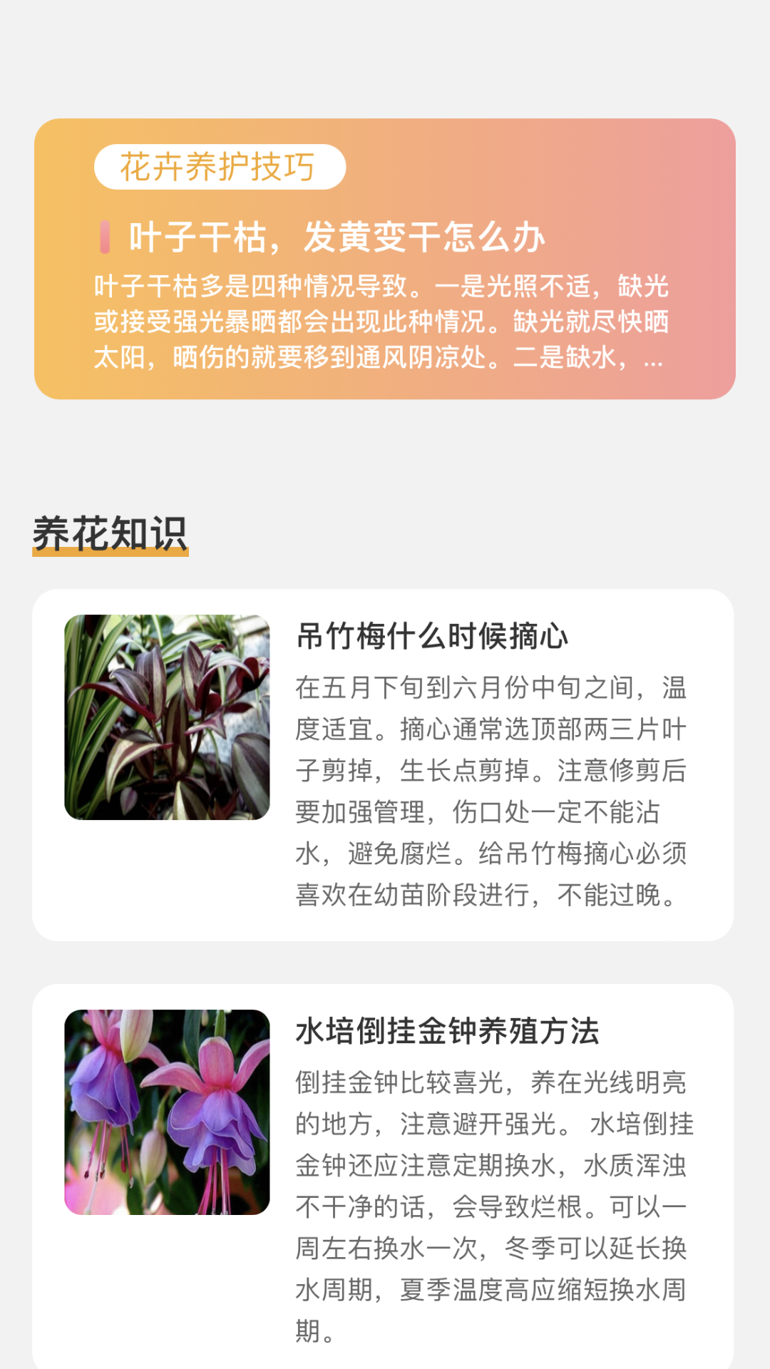 百花悦看 百花悦看