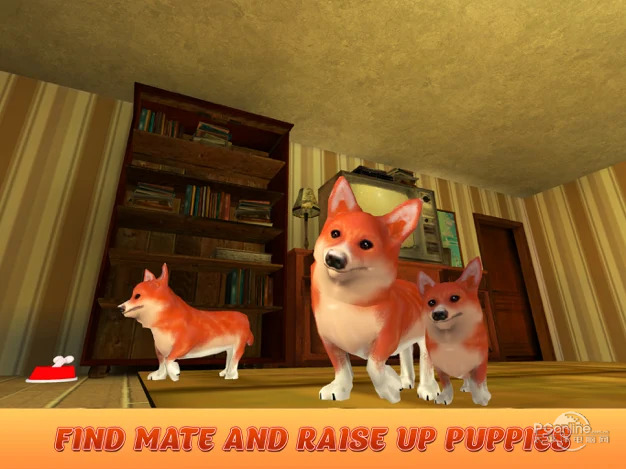 柯基犬模拟器Corgi Dog Simulator