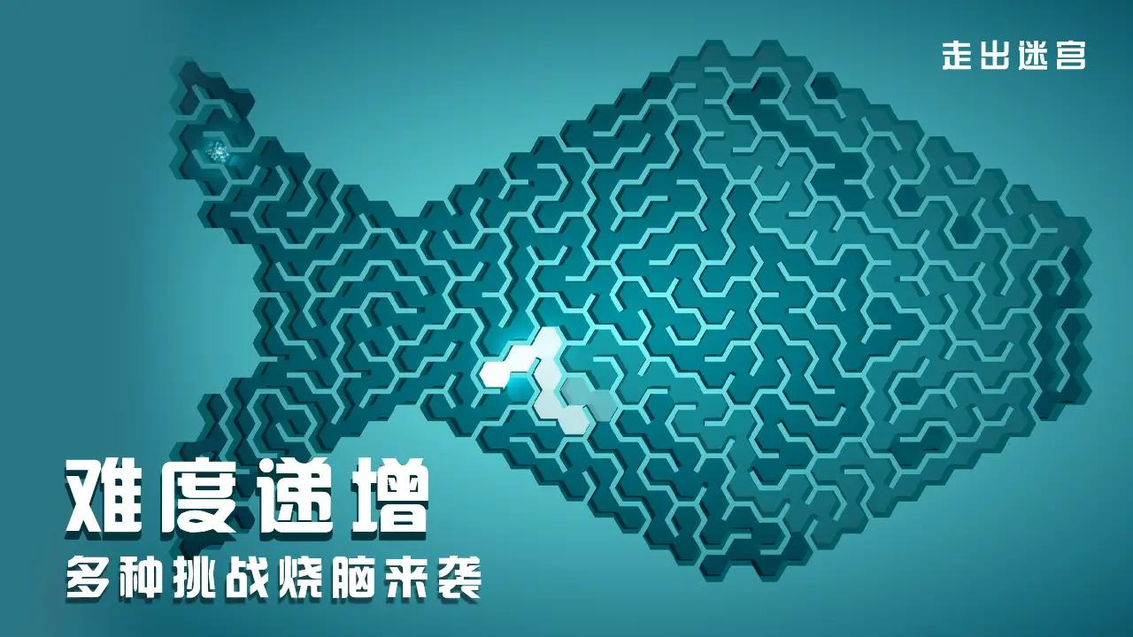 走出迷宫 走出迷宫