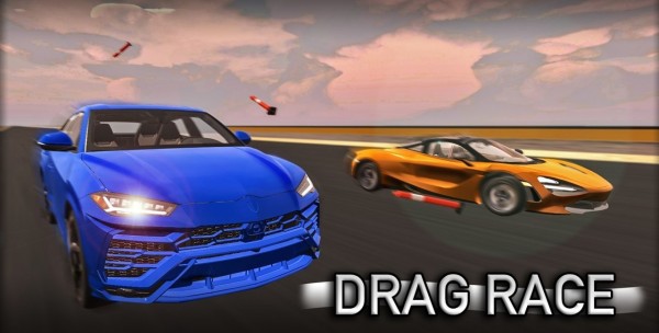 Real World Driver(真实世界驾驶员) Real World Driver(真实世界驾驶员)