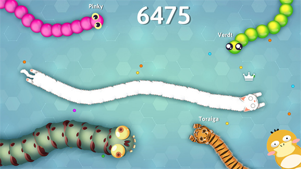 蛇蛇快变身 蛇蛇快变身