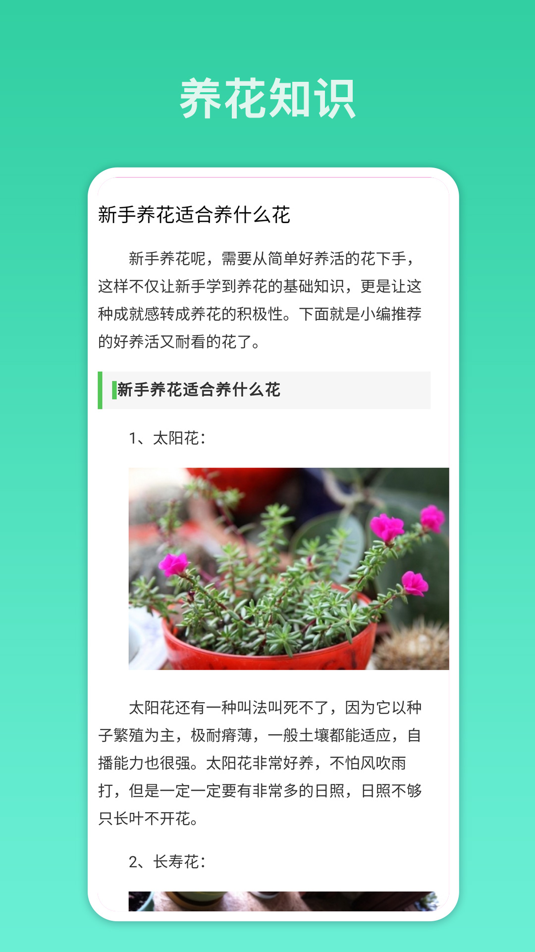 拍照识别 拍照识别