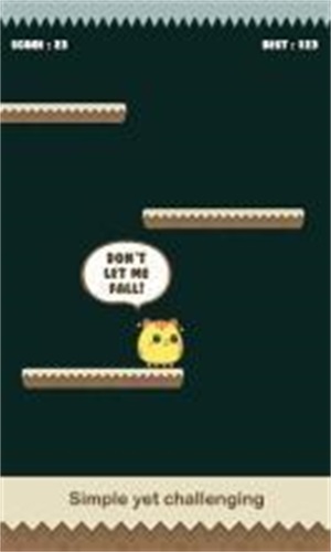 Hello Cute Cats