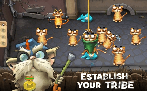 Cats Empire(猫咪帝国)