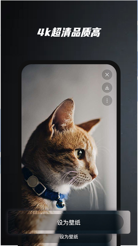 余香壁纸 余香壁纸