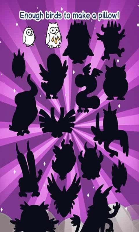 Bird Evolution(鸟类进化)