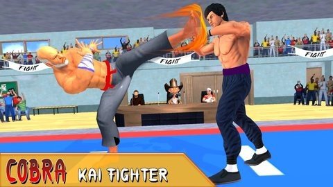 功夫空手道格斗(Tag Team Kung Fu Karate Fight) 功夫空手道格斗(Tag Team Kung Fu Karate Fight)