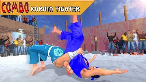 功夫空手道格斗(Tag Team Kung Fu Karate Fight)