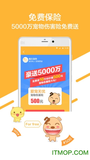 喵三汪四 喵三汪四