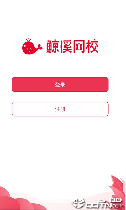 鲸溪网校