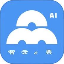 智云e票