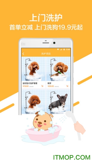 喵三汪四 喵三汪四