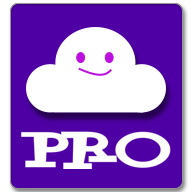 书云Pro