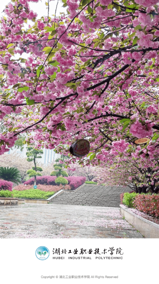 湖工职院
