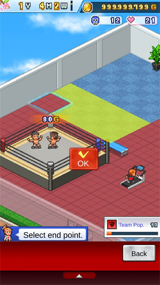 Pro Wrestler Story