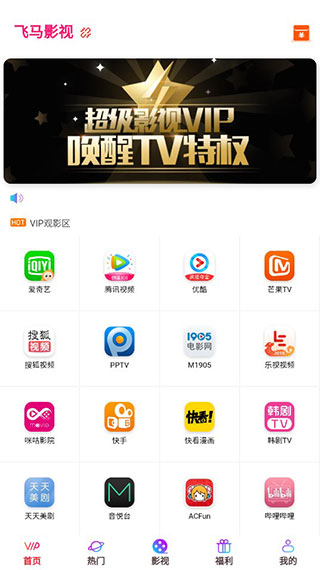 飛馬影視