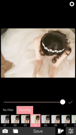 Analog Wedding (模拟婚礼)