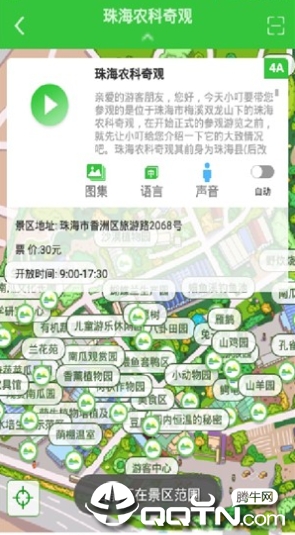 小叮导游