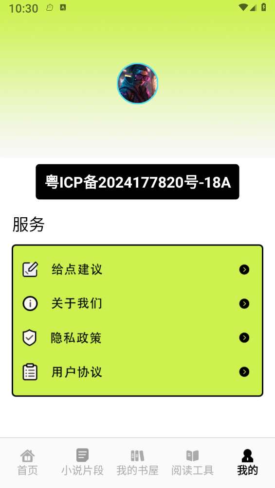 追书大师轻享版