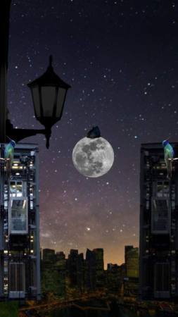 可爱的小公主逃生FreeNewEscapeGame