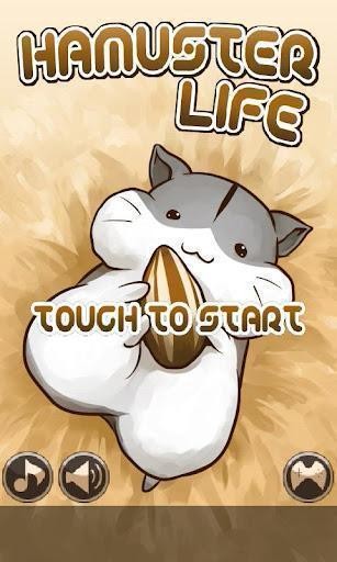 小仓鼠的生活Hamster Life