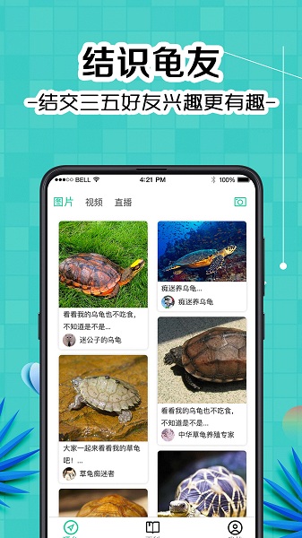 龟友宠物圈 龟友宠物圈