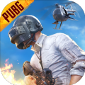 pubg公益直装2.8(PUBG MOBILE)