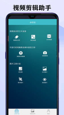 视频去水印大师