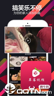 草莓小视频