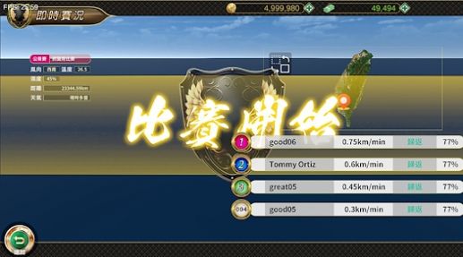 賽鴿