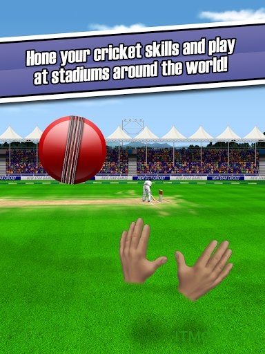新星板球游戏(New Star Cricket)
