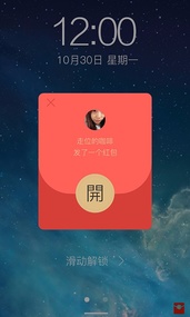 维司库