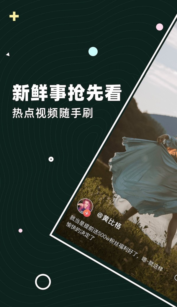 茶豚
